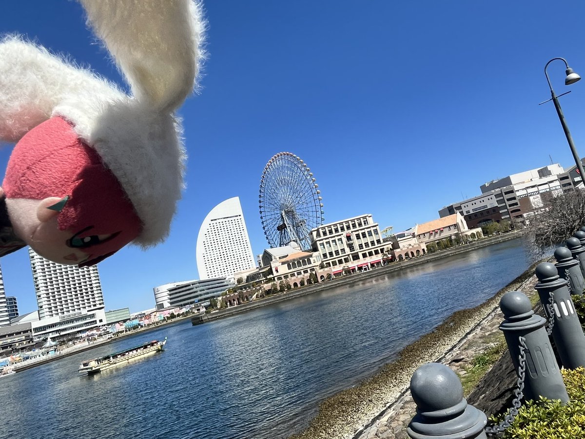 もど * tweet media