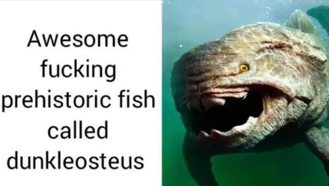 cheese_bed's tweet photo. @Evoincarnate DUNKLEOSTEUS MENTIONED https://t.co/BjmOXOLweb