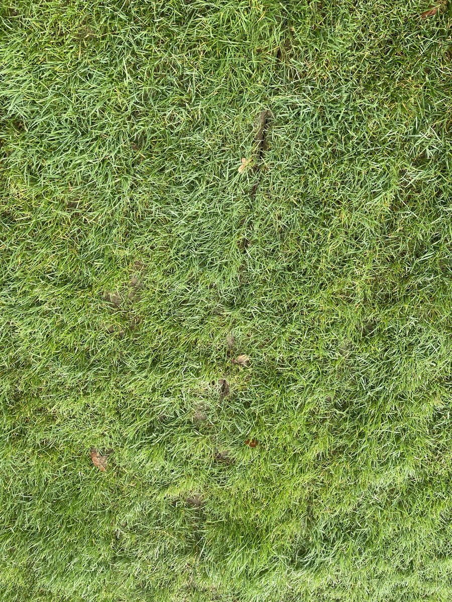 Sean lloyd - Rgs Agronomy tweet media