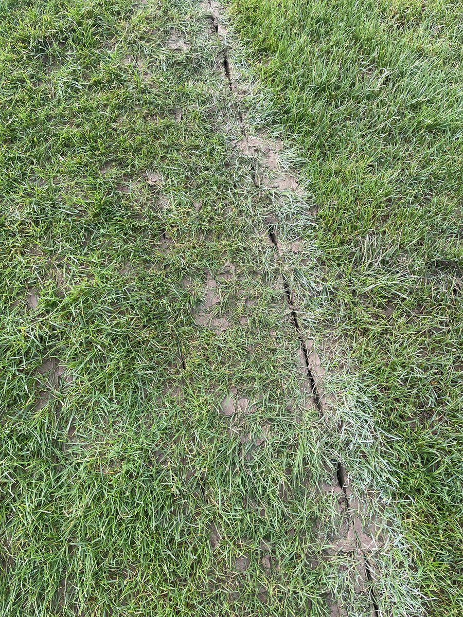 Sean lloyd - Rgs Agronomy tweet media