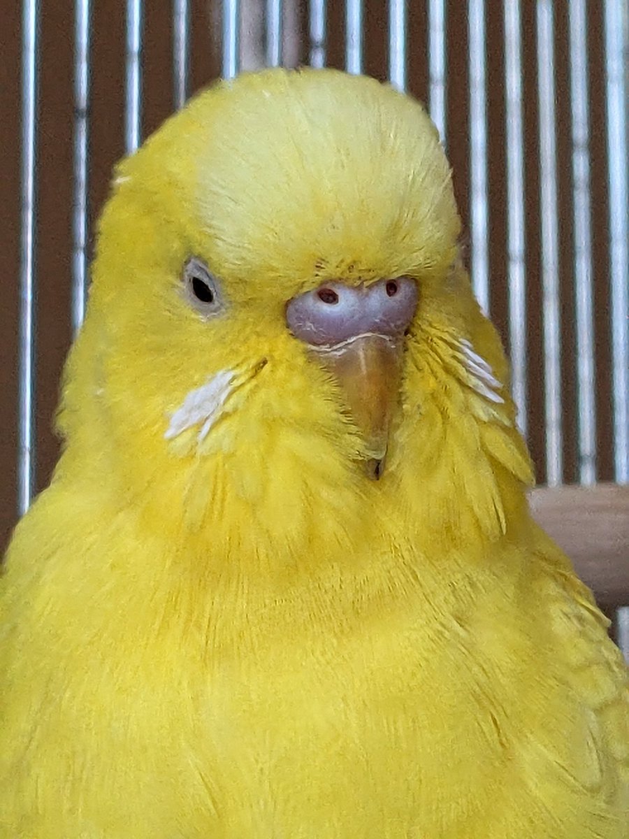 まな🌙 tweet media