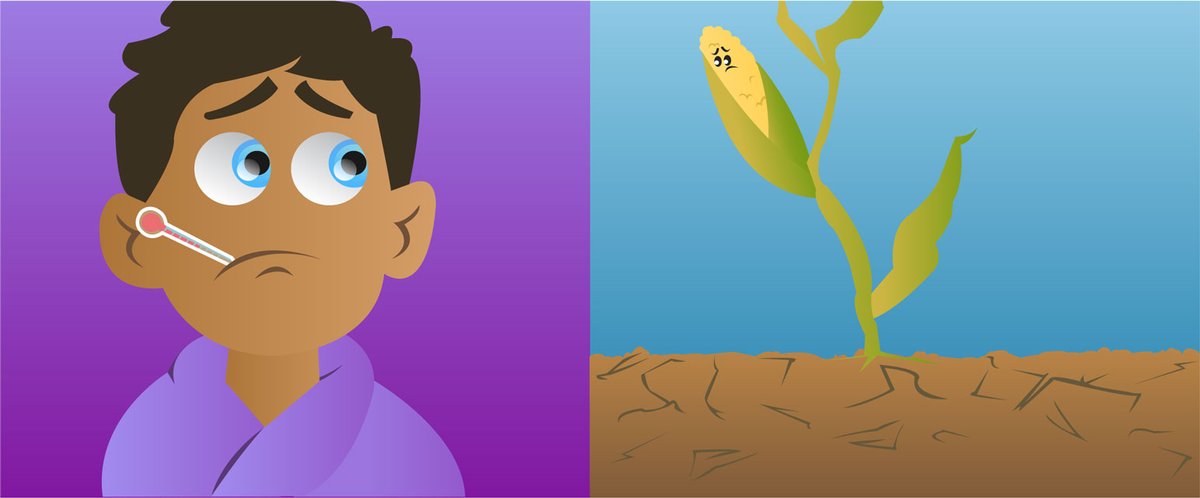 פרונטירז - מדע לצעירים tweet media