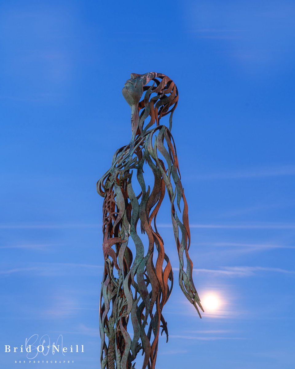 Bríd O'Neill (BON Photography) tweet media