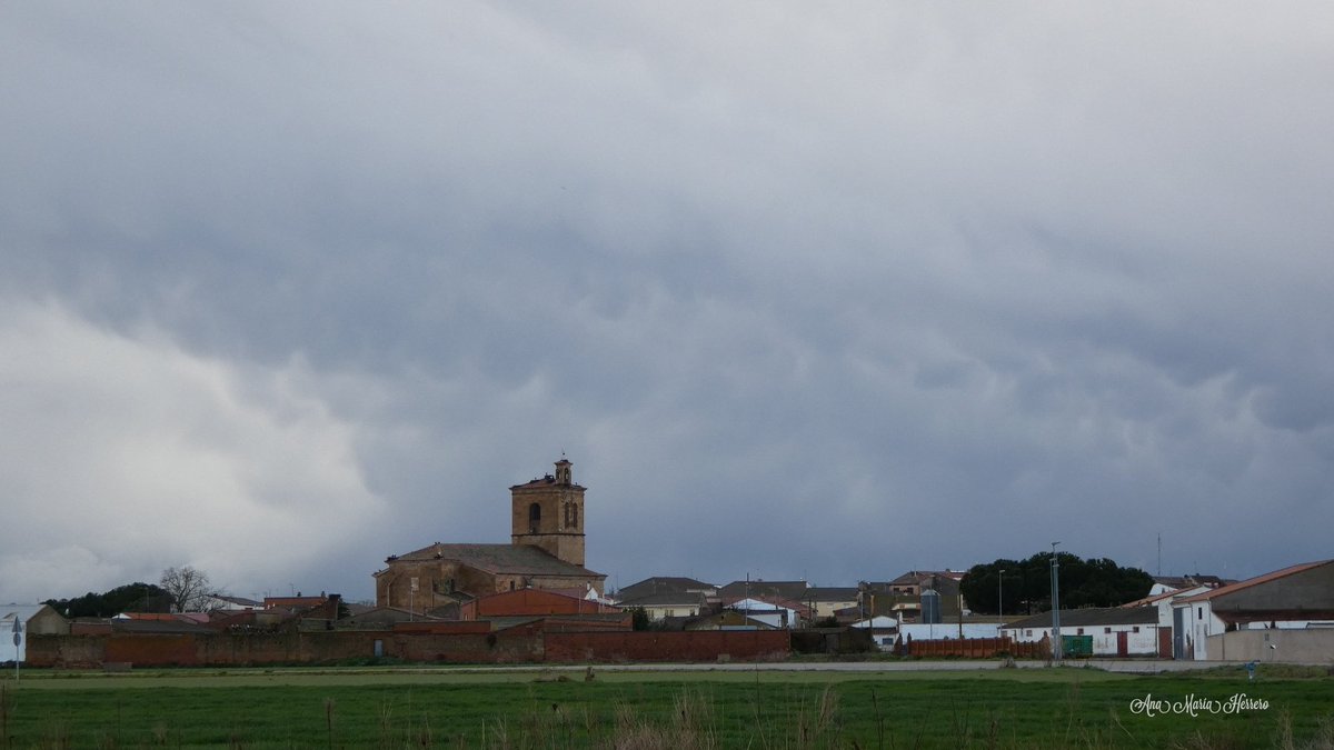Ana María Herrero tweet media
