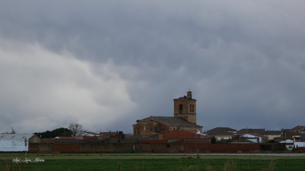 Ana María Herrero tweet media