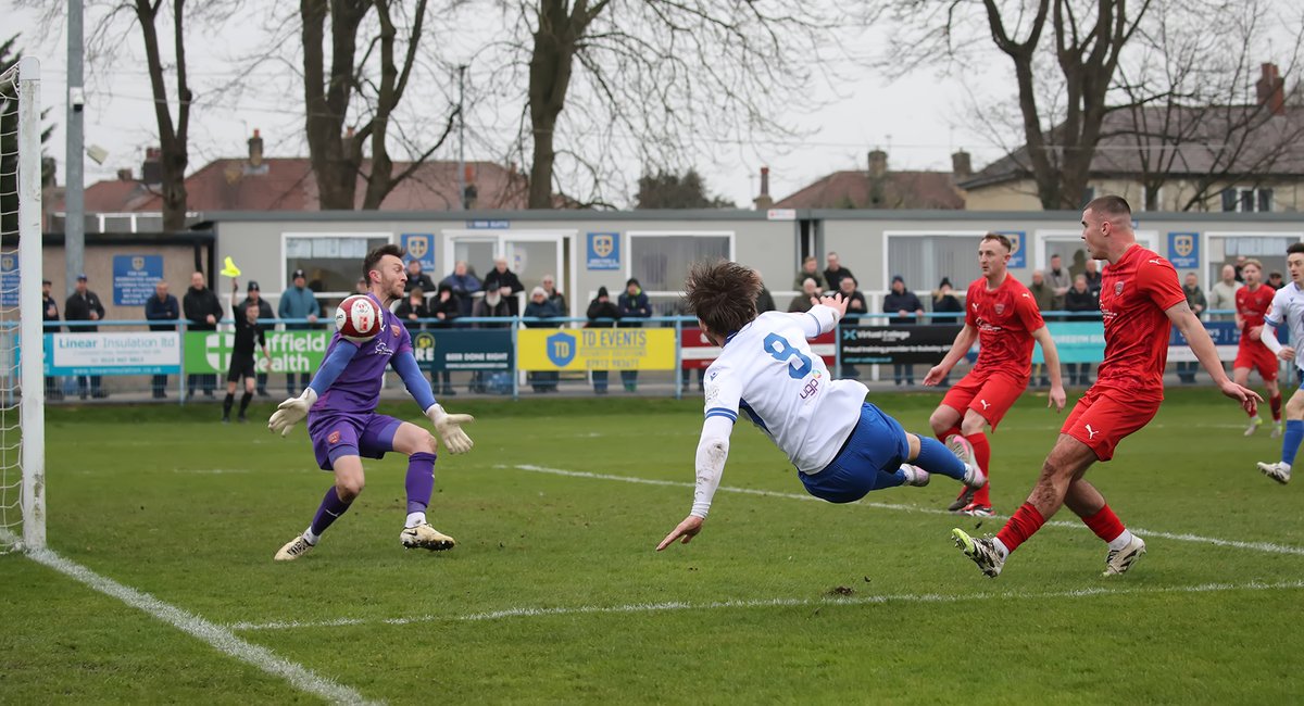 Alex Daniel tweet media