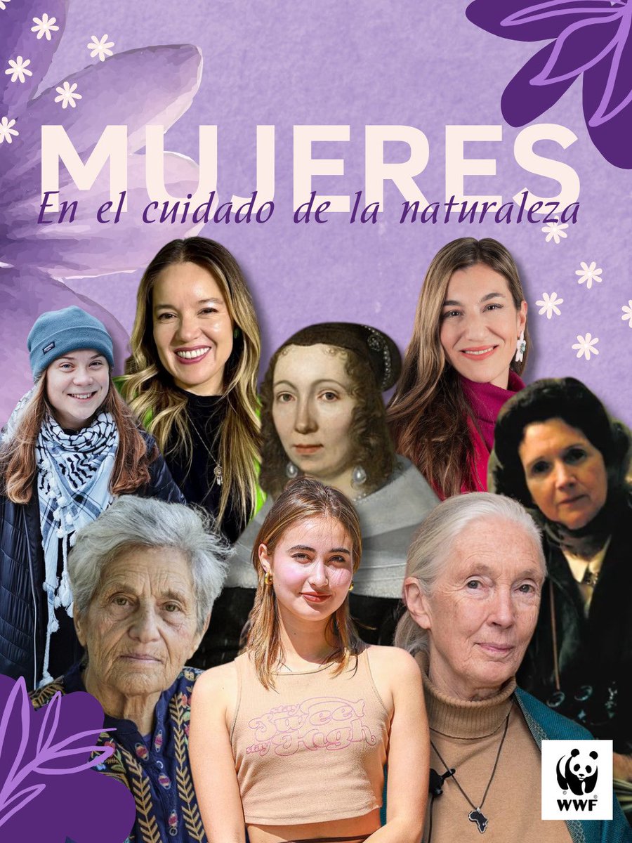 WWF Chile tweet media