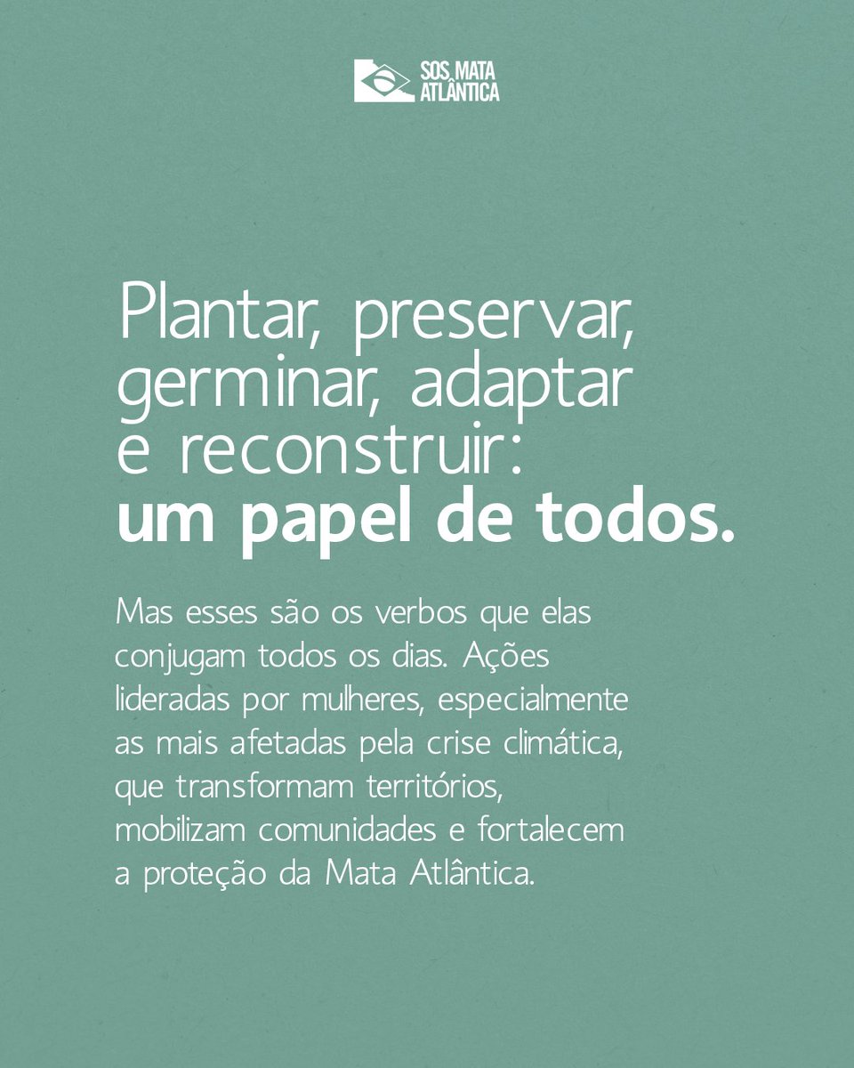 SOS Mata Atlântica tweet media