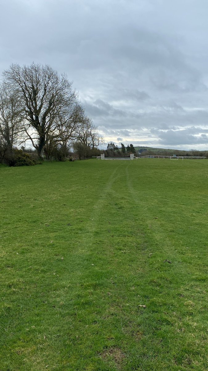 Irish National Hunt Steeplechase CLG tweet media