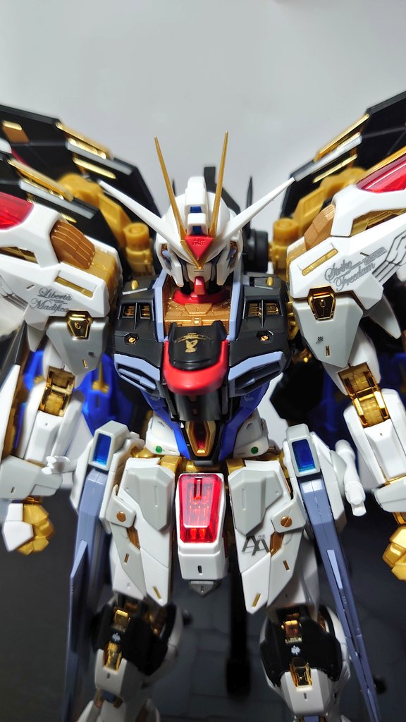 久々の模活！
MGEX ストライクフリーダム

#ガンプラ
#ガンプラ好きな人たちと繋がりたい 
#ガンプラの画像貼るとRTされると聞いて