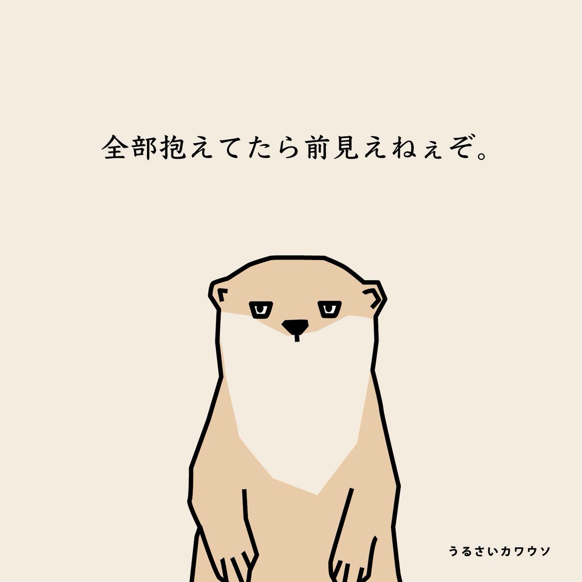 うるさいカワウソ tweet media