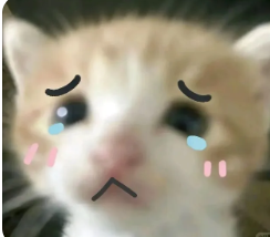 死对头 tweet media