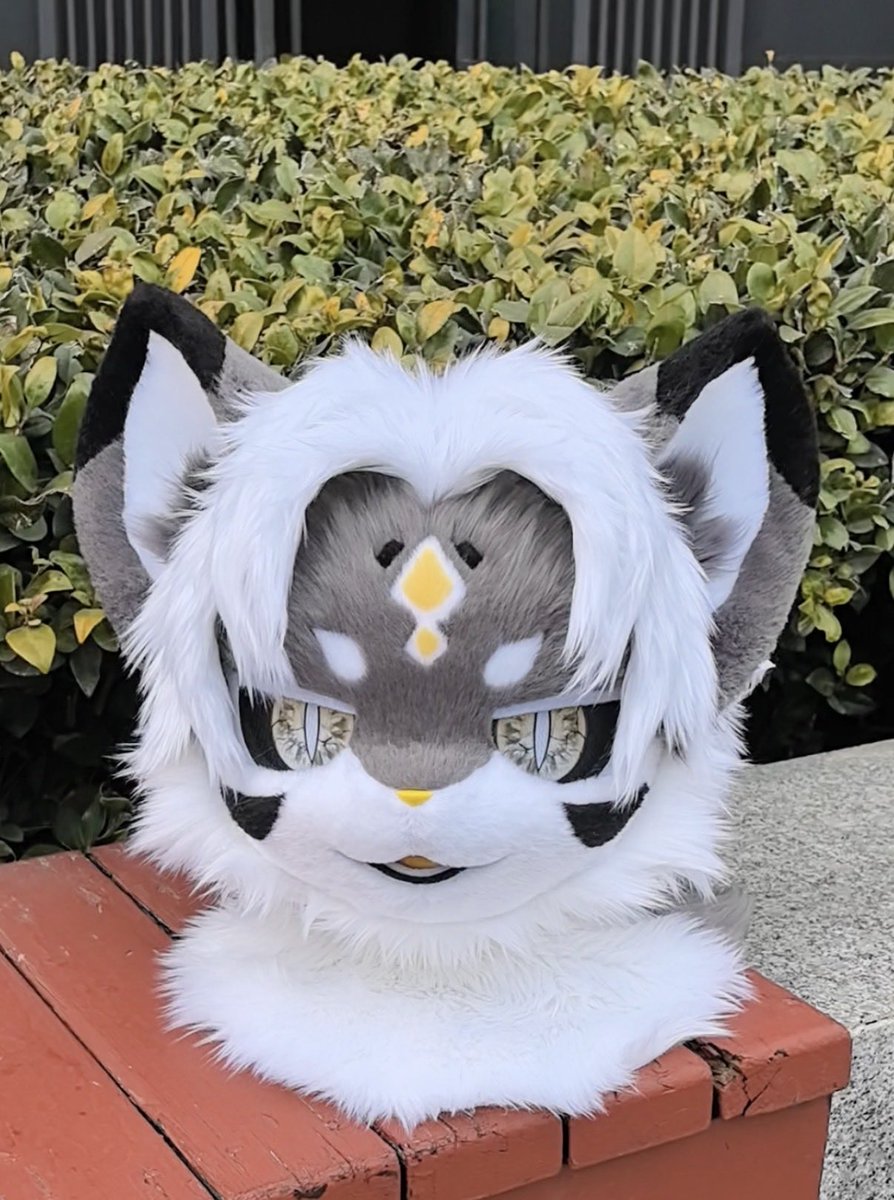 덮밥🍚 tweet media