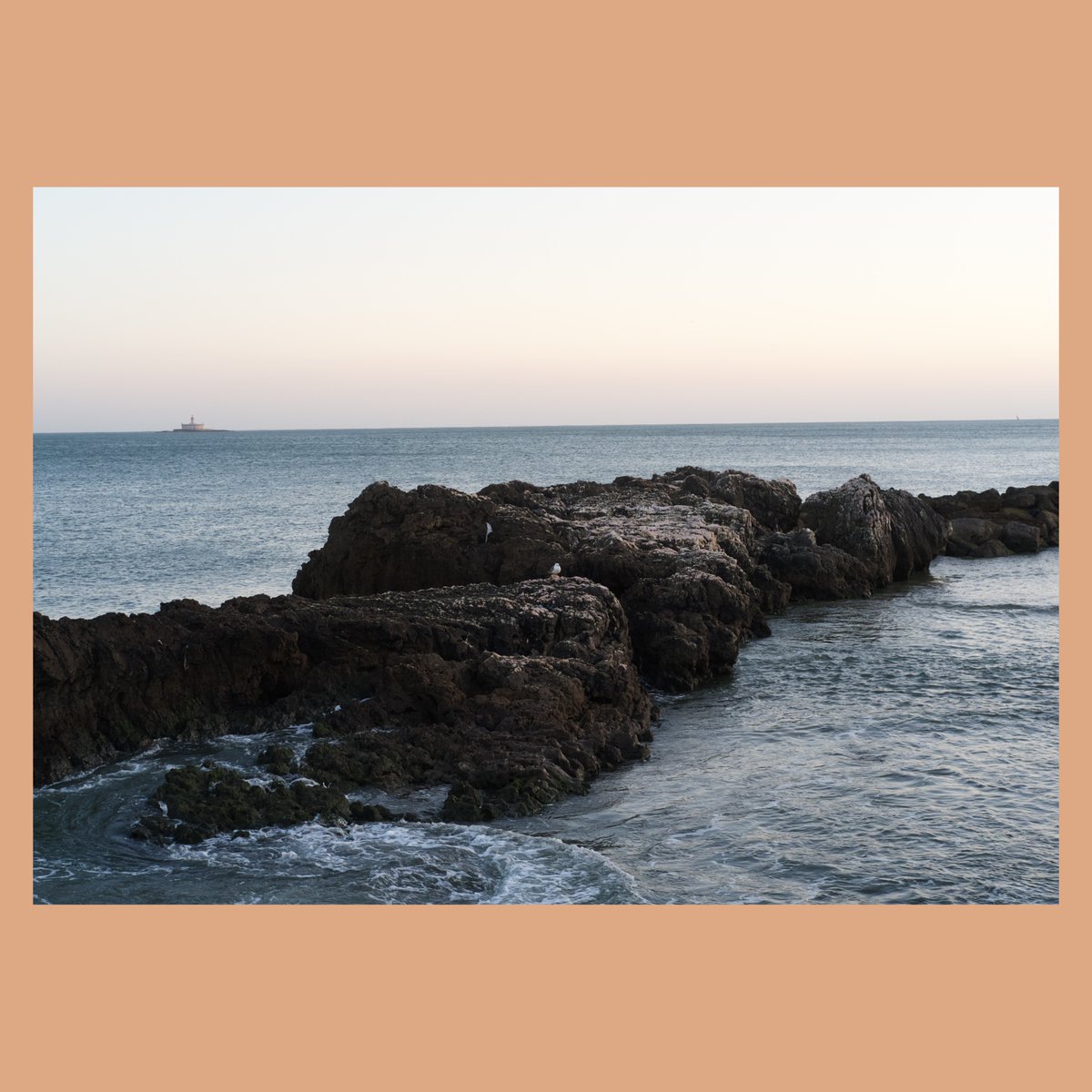 Dark Saucerer tweet media