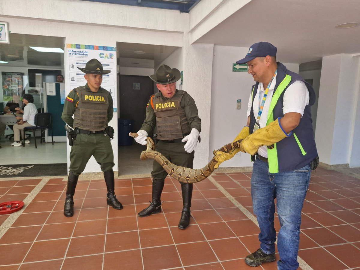 Alfred Ballesteros Alarcón tweet media