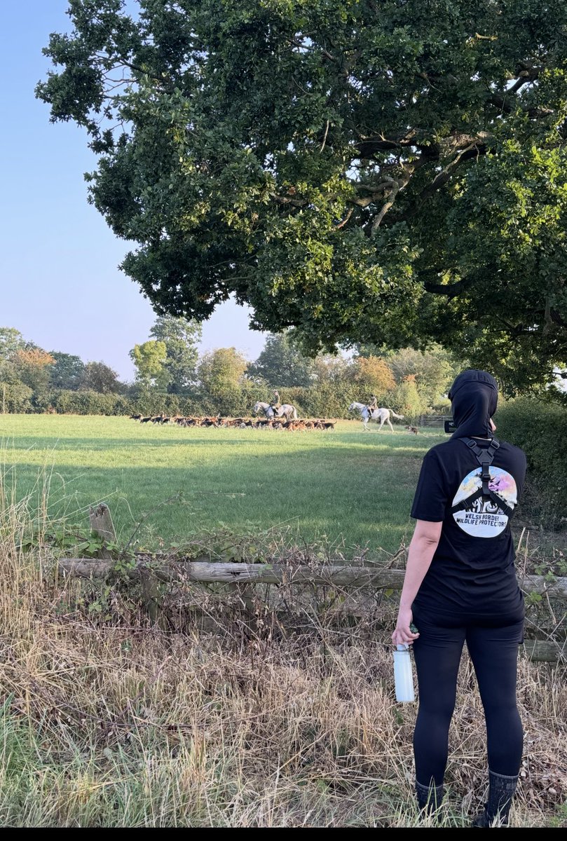 Welsh Border Wildlife Protectors tweet media