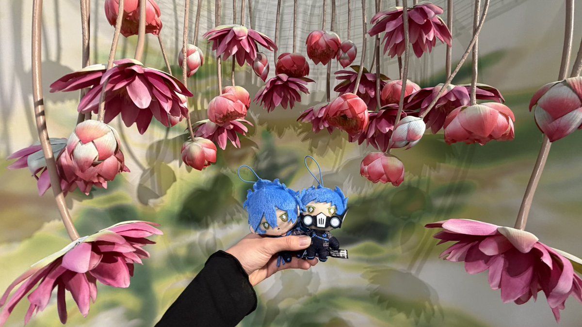 せよれ tweet media