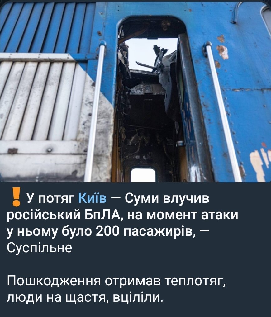 ✙Товстий кіт ꑭ✙ tweet media