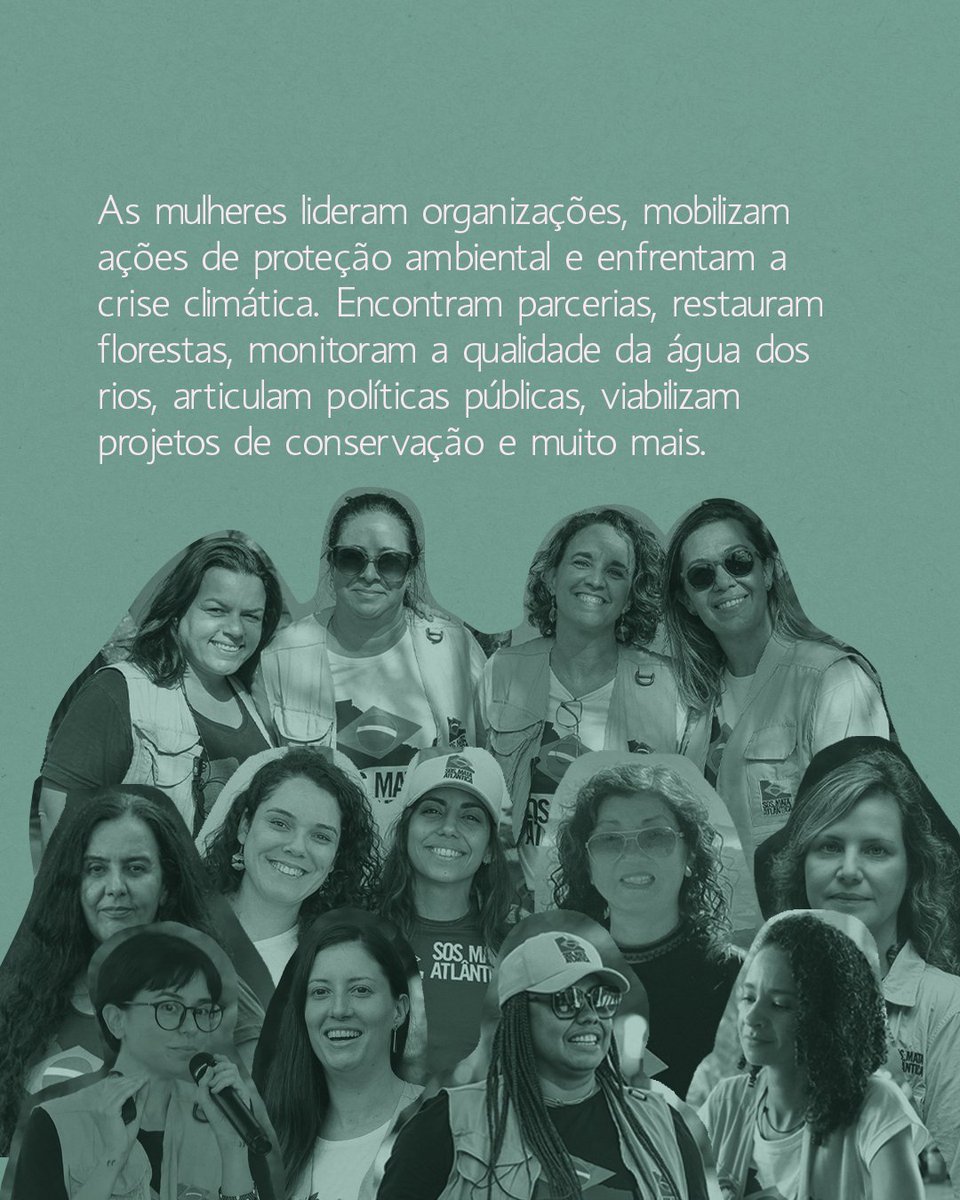 SOS Mata Atlântica tweet media