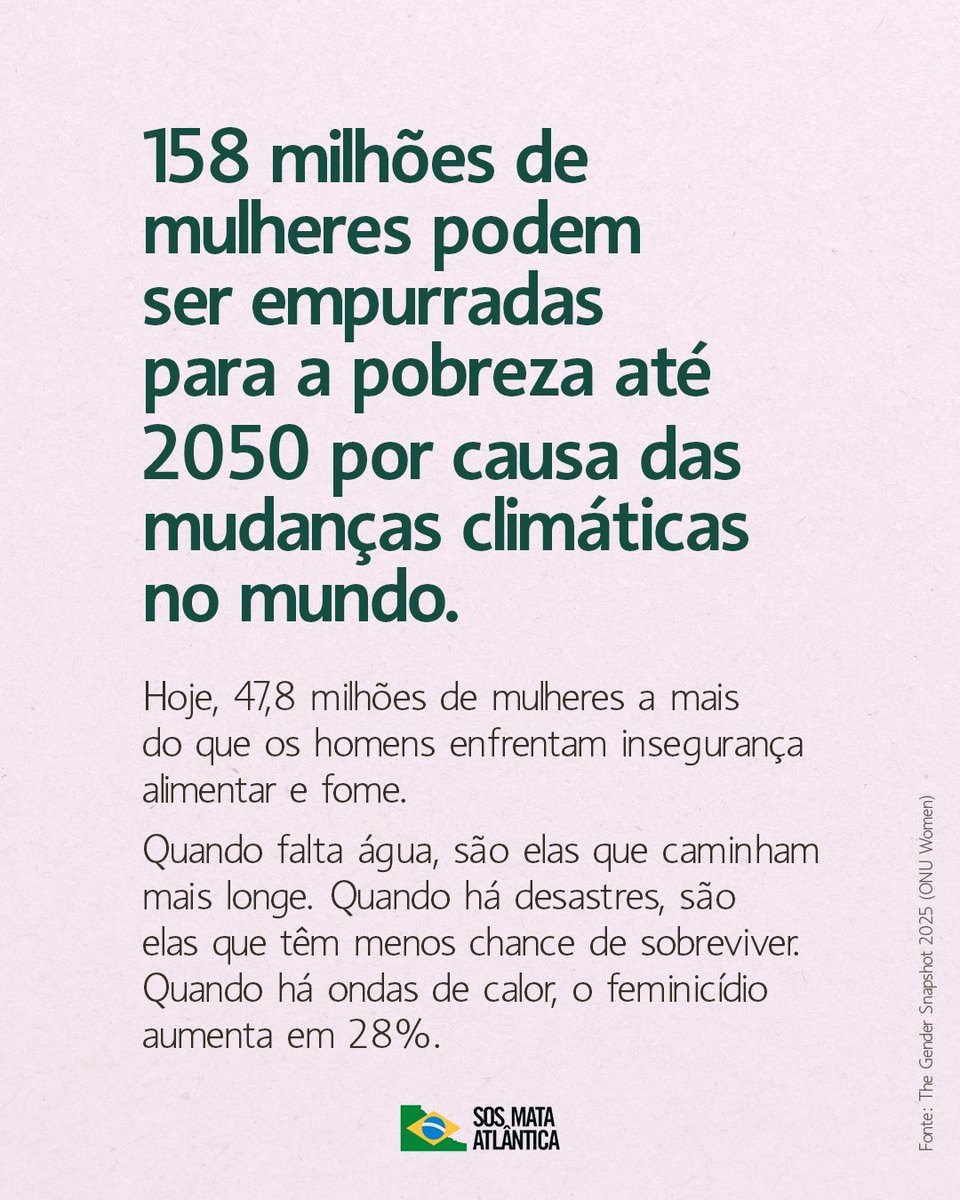 SOS Mata Atlântica tweet media