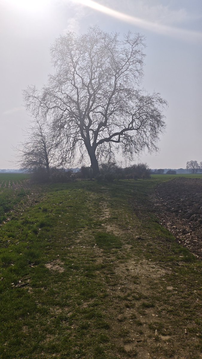 Ezio🦁 tweet media