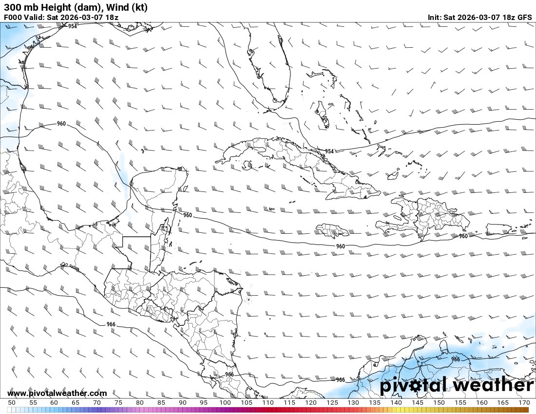 Dionisio Tejeda🌪 tweet media