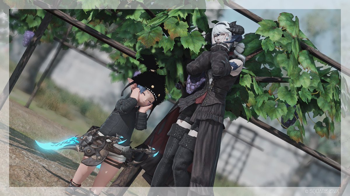 忍者と一緒に商客物語周回してきた〜!!
美味しいものある場所で記念撮影をとのことだったのでここに!!
ぶどう美味しいね🍇(*´～｀*)ŧ‹"ŧ‹"ŧ‹"