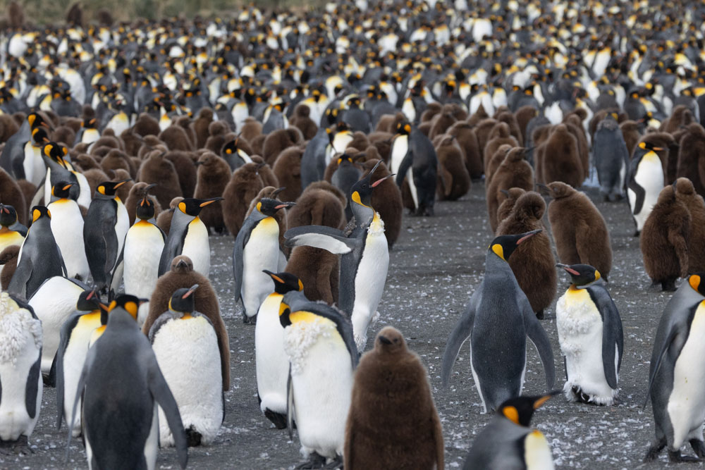 Alvaro's Adventures tweet media