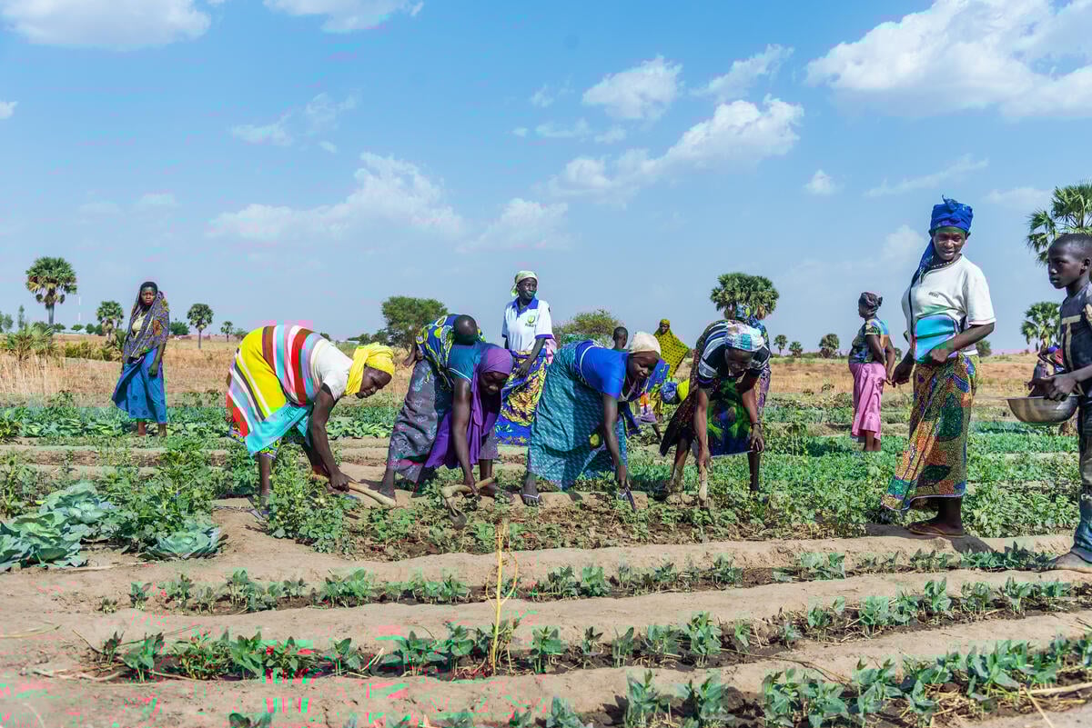 Mulualem Desta tweet media