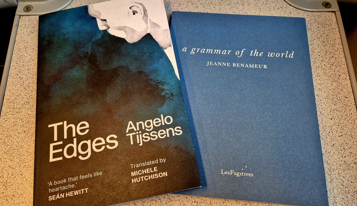 Books Landscape Magic tweet media