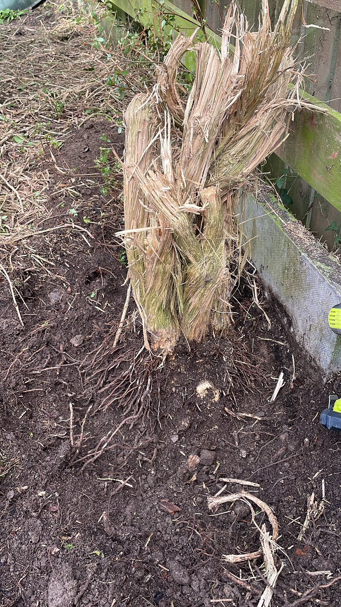 One down… one to go!