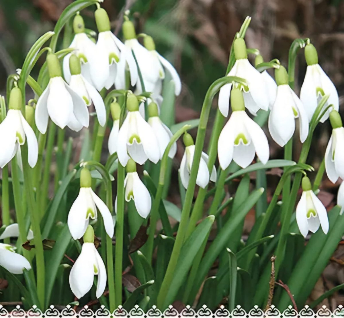 Happy International Women’s Day!
Let's celebrate 115 years of International Women's Day!
International Women's Day 2026 theme is 'Give To Gain' When we give, we gain.
Give To Gain emphasizes the power of reciprocity and support. 

#womencelebration #givetogain