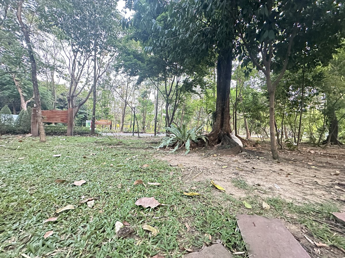 SABBBB 🐯 tweet media