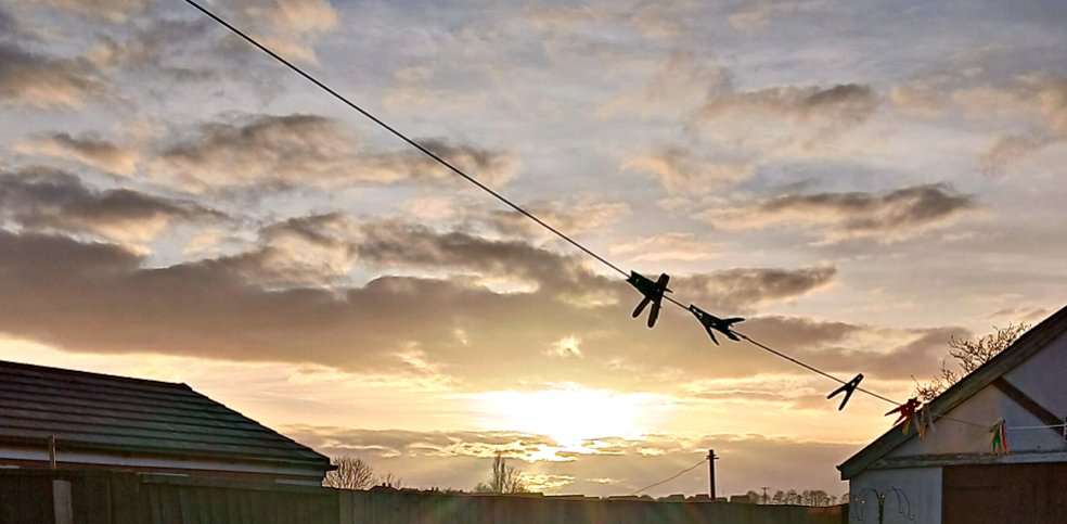 Kim Carberry tweet media