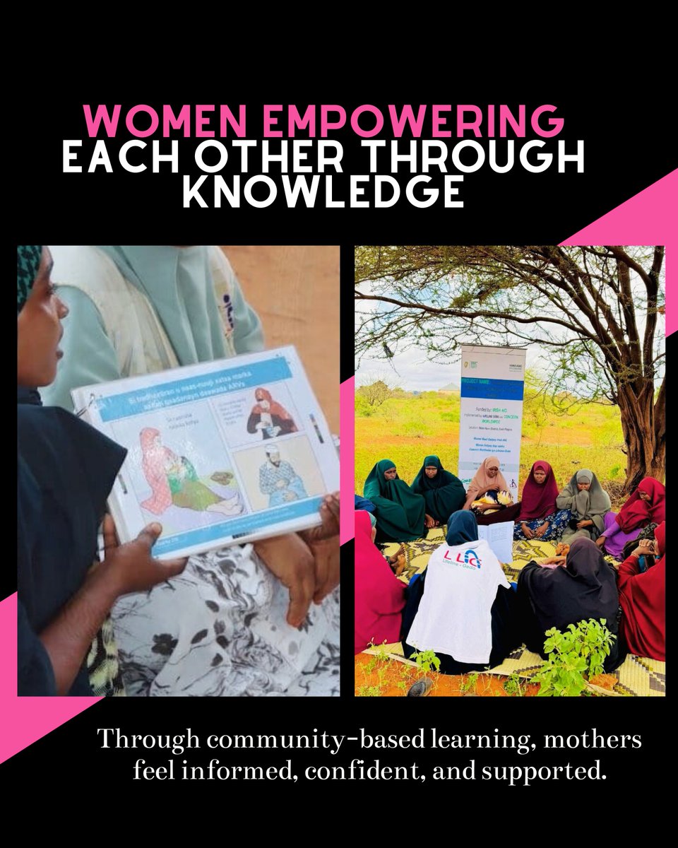 Lifeline Gedo tweet media