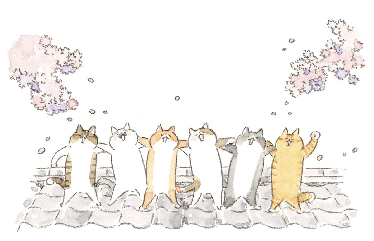 ねこまき倉庫 tweet media