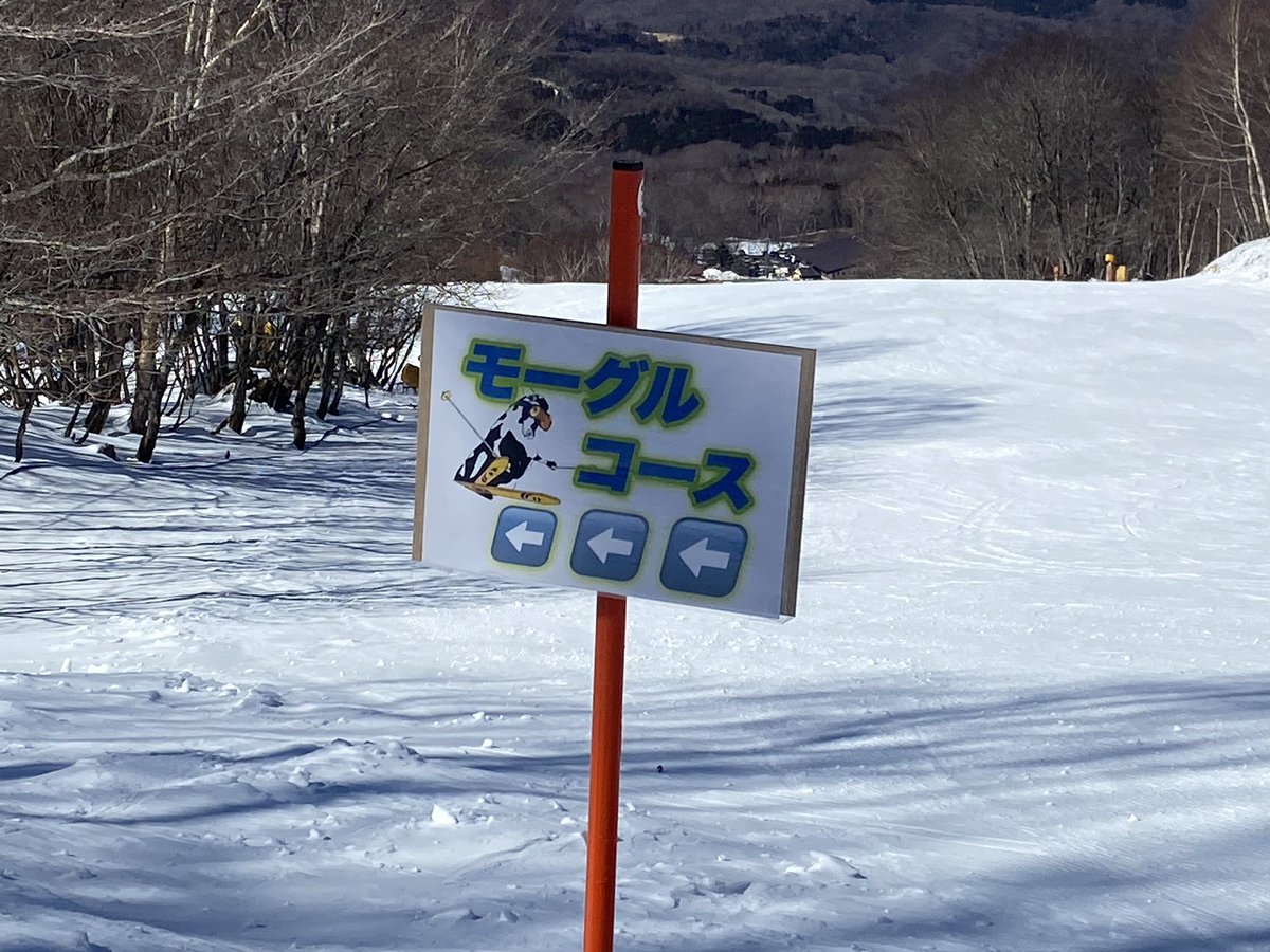 snow_monkey1440's tweet photo. 2025-2026シーズン22日目🎿
ホーム最終日(14日目)❄️

朝から暴風雪となったホーム最終日、午後には晴れて風も収まったものの、硬めの深いコブで今シーズン一番の尻が筋肉痛😂 https://t.co/jf2w3duFkO