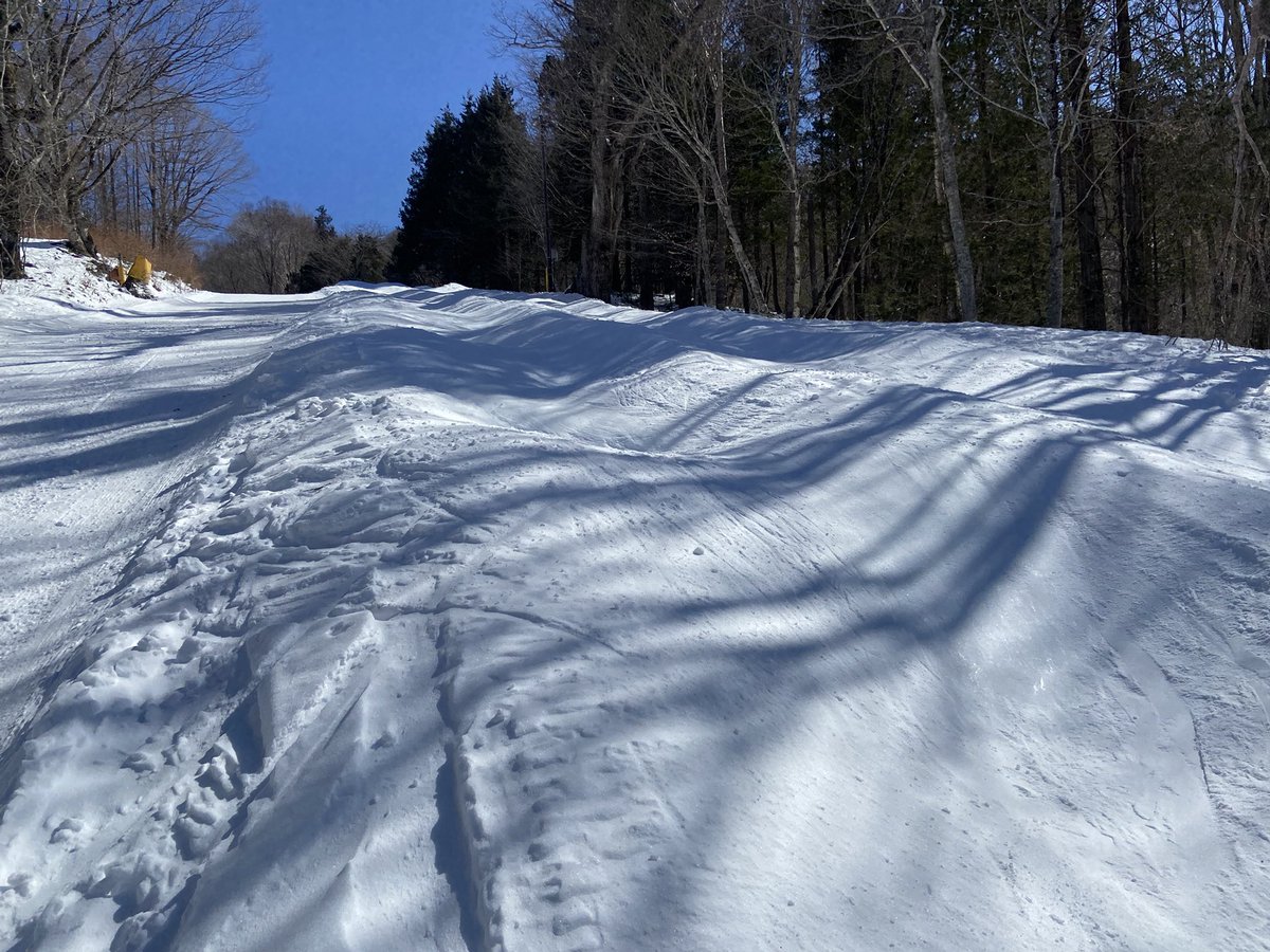 snow_monkey1440's tweet photo. 2025-2026シーズン22日目🎿
ホーム最終日(14日目)❄️

朝から暴風雪となったホーム最終日、午後には晴れて風も収まったものの、硬めの深いコブで今シーズン一番の尻が筋肉痛😂 https://t.co/jf2w3duFkO