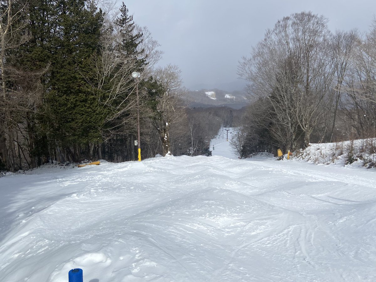 snow_monkey1440's tweet photo. 2025-2026シーズン22日目🎿
ホーム最終日(14日目)❄️

朝から暴風雪となったホーム最終日、午後には晴れて風も収まったものの、硬めの深いコブで今シーズン一番の尻が筋肉痛😂 https://t.co/jf2w3duFkO