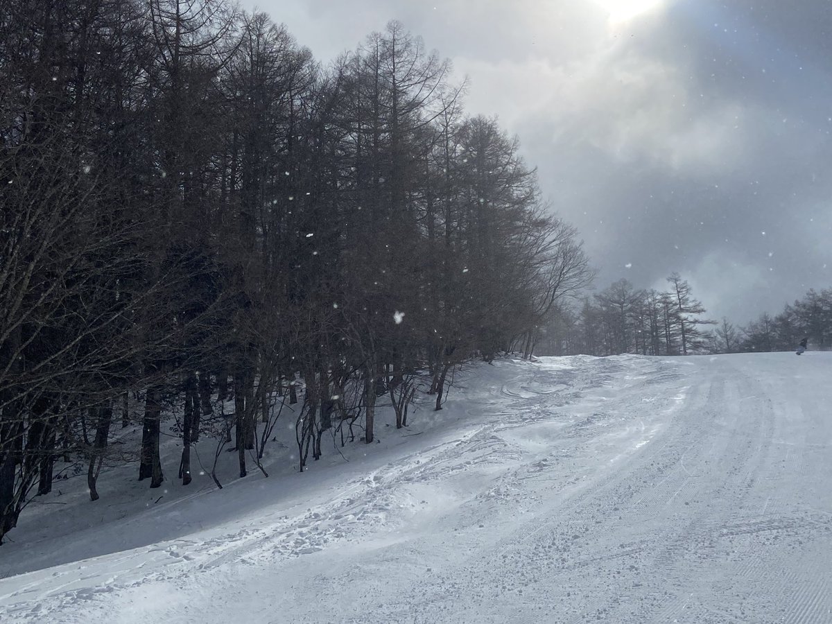 snow_monkey1440's tweet photo. 2025-2026シーズン22日目🎿
ホーム最終日(14日目)❄️

朝から暴風雪となったホーム最終日、午後には晴れて風も収まったものの、硬めの深いコブで今シーズン一番の尻が筋肉痛😂 https://t.co/jf2w3duFkO