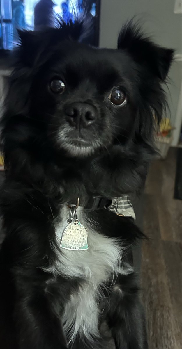 peggy g & peppy tweet media