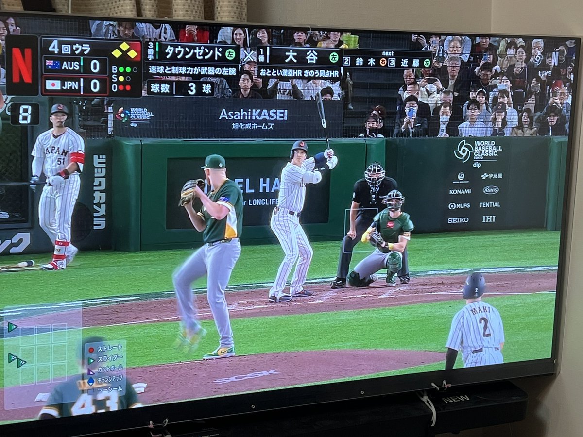 ノボジーン（公式）「ノボちゃん」と呼んでください！ tweet media