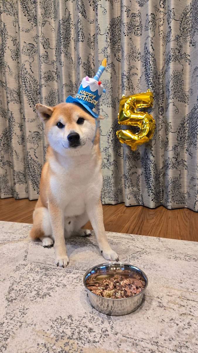 少し早いけど5歳のお誕生ビッツ🎉