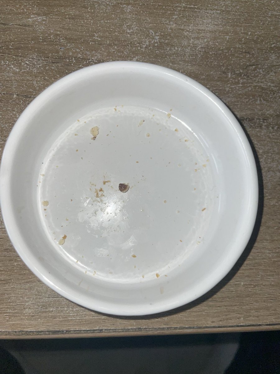 Cafard fille🪳 tweet media