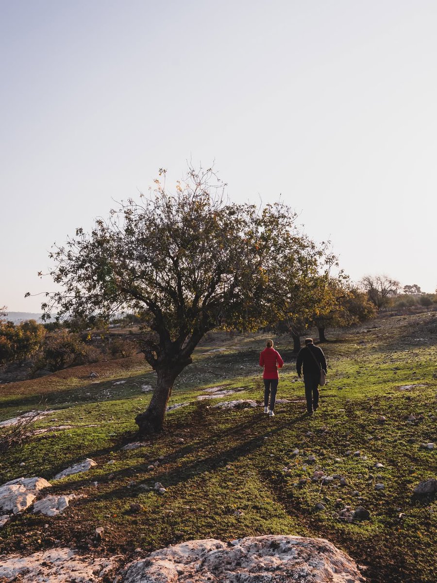 Visit Jordan tweet media