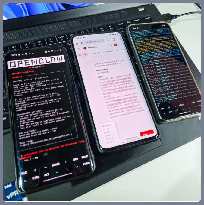 Tom Dörr tweet media