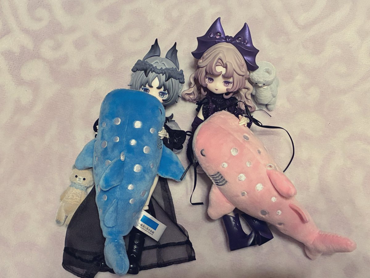 rendolls_'s tweet photo. 美ら海水族館行ってきたよ〜🐋
#ブラインドドール #ルルリン物語 https://t.co/0vMDhzUQFT