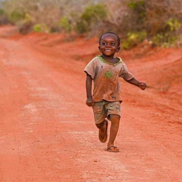 Zoom Afrika tweet media