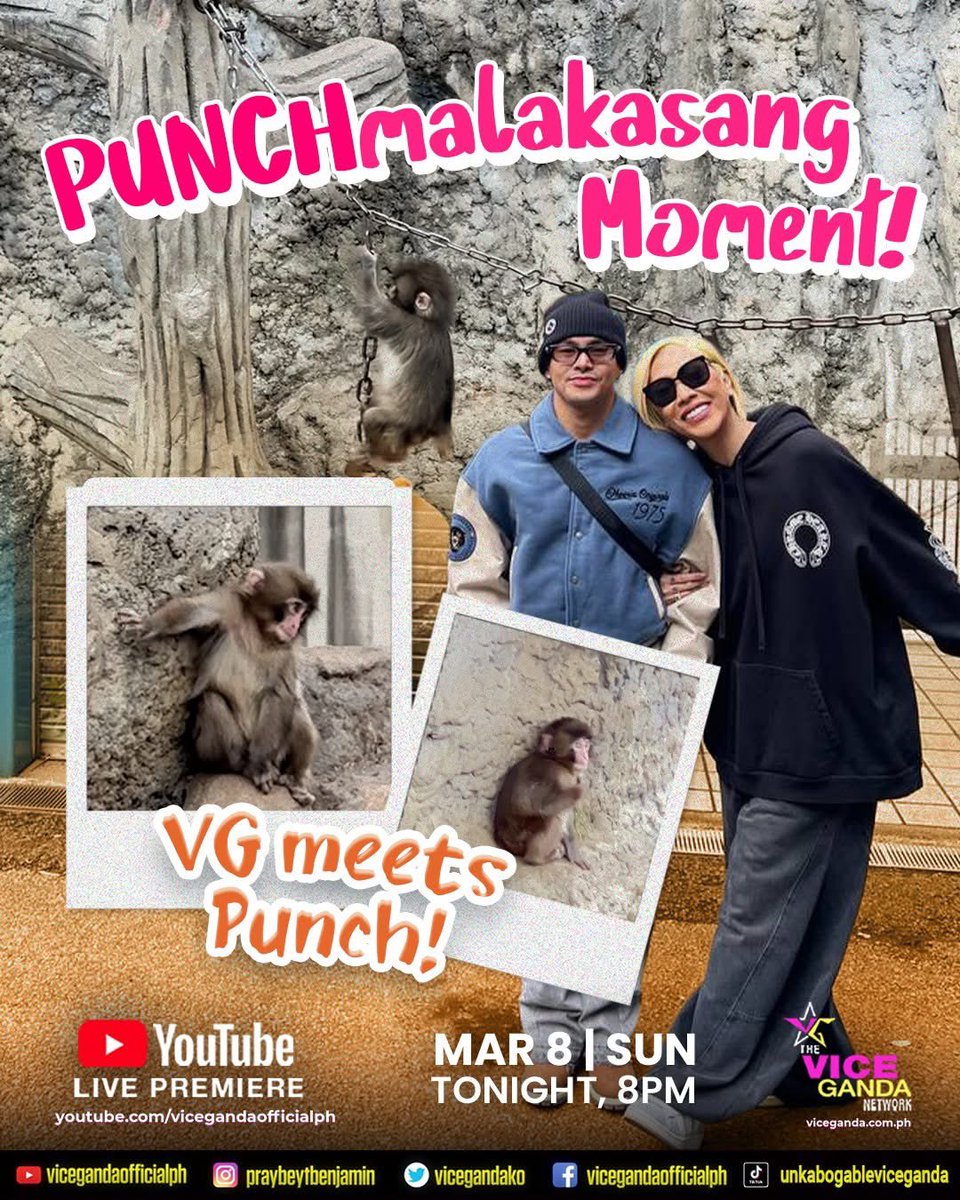 Team Vice tweet media