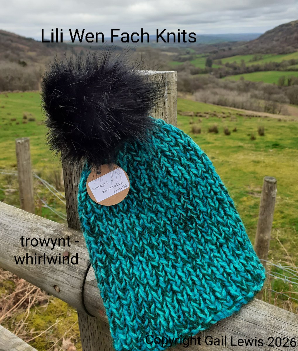 Gail Lewis tweet media